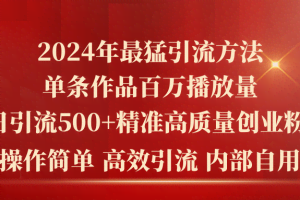 （10920期）2024年最猛暴力引流方法，单条作品百万播放 单日引流500+高质量精准创业粉