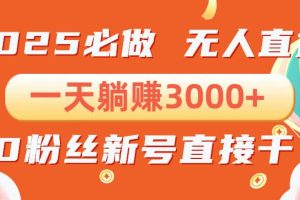 （13950期）抖音小雪花无人直播，一天躺赚3000+，0粉手机可搭建，不违规不限流，小…