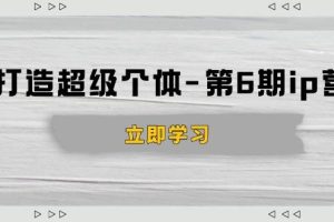 （14015期）打造 超级个体-第6期ip营：商业认知,产品设计,成交演练,解决知识变现难题