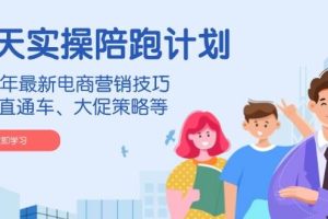 （14008期）淘天实操陪跑计划，2024年最新电商营销技巧，包括直通车、大促策略等