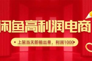 （16286期）闲鱼卖爆款货源，每天利润1000，上架即出单