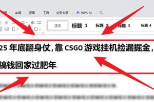 （16533期）25年底翻身仗，靠CSGO游戏挂机捡漏掘金，搞钱回家过肥年