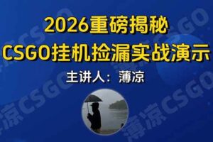 （17258期）CSGO游戏挂机游戏搬砖最新升级，普通小白一部手机可日入300+当天见结果，支持验证