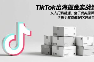 （17368期）TikTok出海掘金实战课：从入门到精通，全干货实操讲解，手把手教你做好TK跨境电商