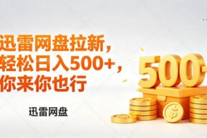 (17998期)迅雷网盘锐评拉新,轻松日入几张,小白副业首选